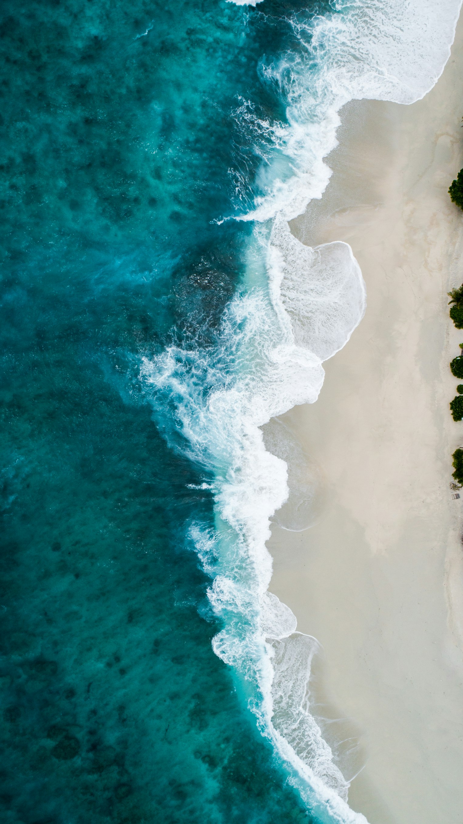 Ocean Vibes